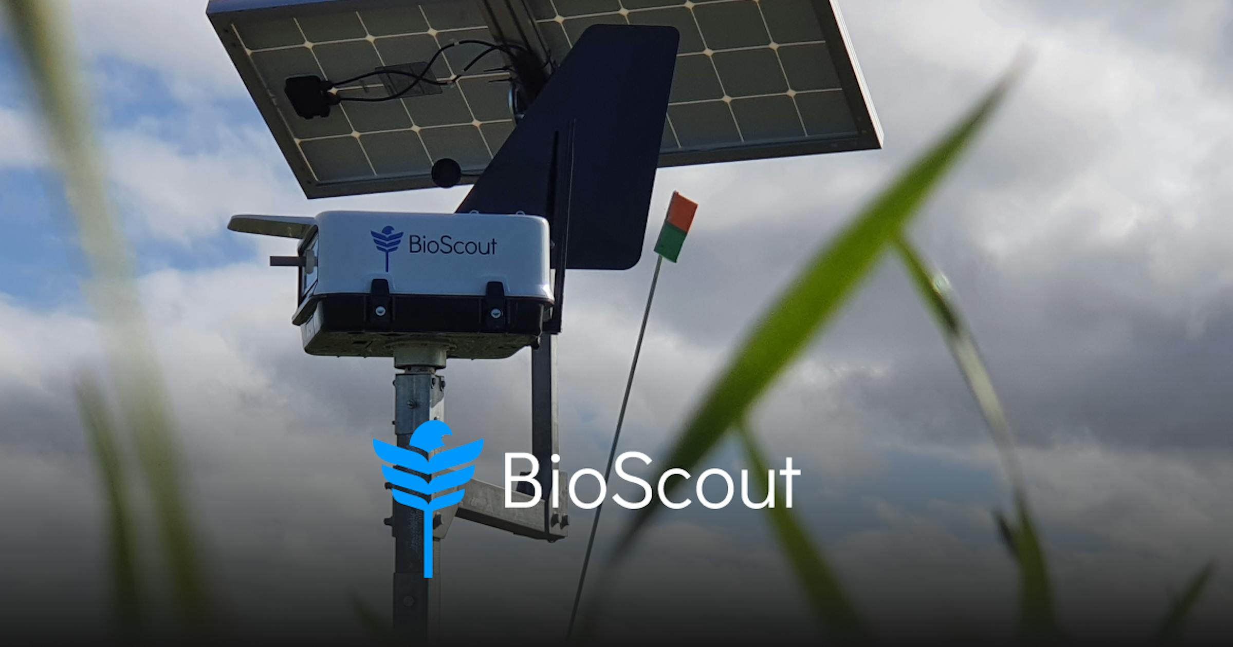 BioScout