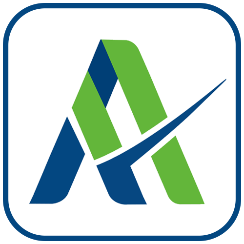 AnyAudit.ai